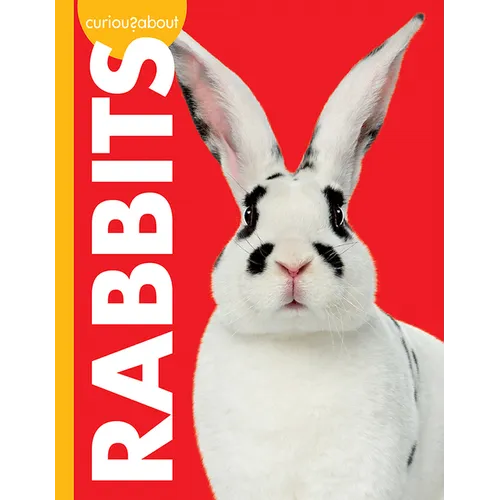 Curious about Rabbits - Paperback