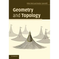 Geometry and Topology - Paperback