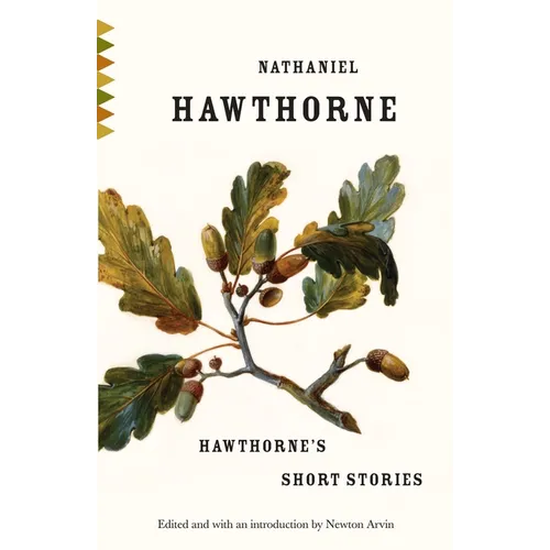 Hawthorne's Short Stories - Paperback