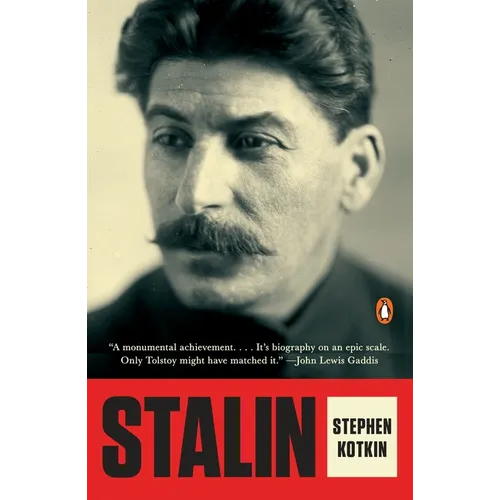 Stalin: Paradoxes of Power, 1878-1928 - Paperback