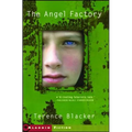 The Angel Factory - Paperback