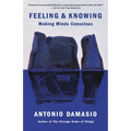 Feeling & Knowing: Making Minds Conscious - Paperback