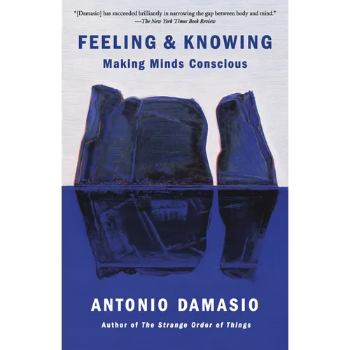 Feeling & Knowing: Making Minds Conscious - Paperback
