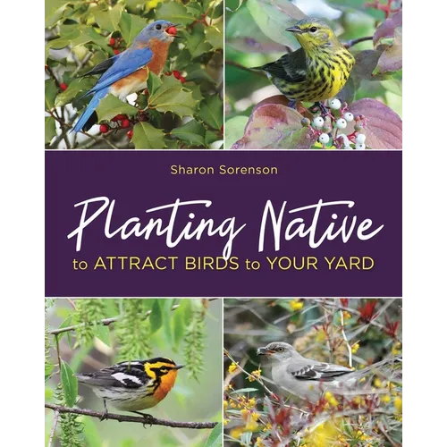 Planting Native to Attract Birds to Your Yard - Paperback
