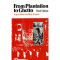 From Plantation to Ghetto - Paperback