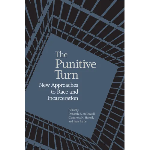 Punitive Turn: New Approaches to Race and Incarceration - Paperback