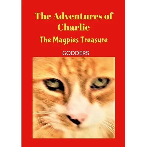 The Adventures of Charlie: Mr Magpie - Paperback