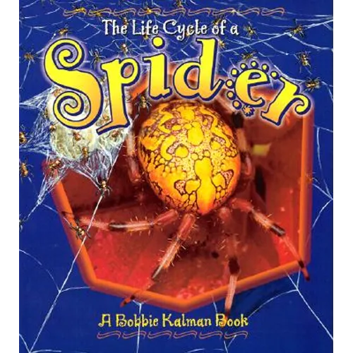 Spider - Paperback