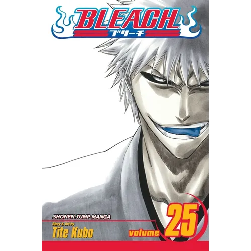 Bleach, Vol. 25: No Shaking Throne - Paperback
