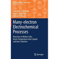 Many-Electron Electrochemical Processes: Reactions in Molten Salts, Room-Temperature Ionic Liquids and Ionic Solutions - Hardcover