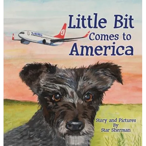 Little Bit Comes to America - Hardcover
