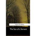 The Son of a Servant - Paperback