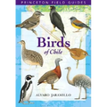 Birds of Chile - Paperback