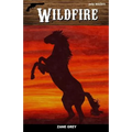 Wildfire - Paperback