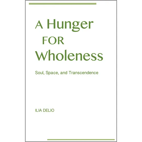 A Hunger for Wholeness: Soul, Space, and Transcendence - Paperback