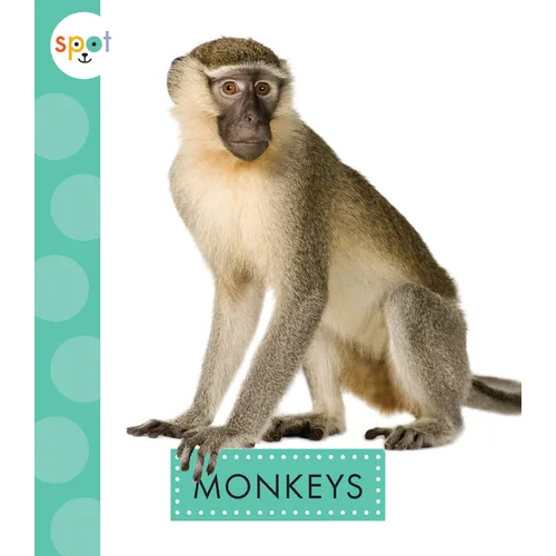 Monkeys - Paperback