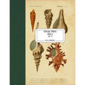 Vintage Prints: Shells: Vol. 9 - Paperback