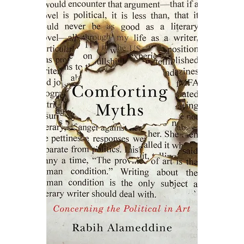 Comforting Myths: Concerning the Political in Art - Hardcover