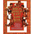 The African-American Baby Name Book: A Treasury of over 10,000 Unique, Traditional, and Creative Names for the New Millennium - Paperback
