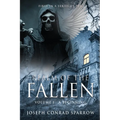 Realm of the Fallen: Volume 1 - A Beginning - Paperback
