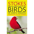 The Stokes Essential Pocket Guide to the Birds of North America - Paperback