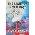 The Light of Seven Days a Novel - Paperback
