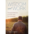 Wisdom and Work: Theological Reflections on Human Labor from Ecclesiastes - Paperback