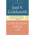 Consciousness Is What I Am - Paperback