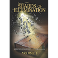 Shards of Illumination: Breaking through the Deception - Paperback