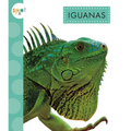Iguanas - Paperback