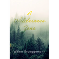 A Wilderness Zone - Paperback