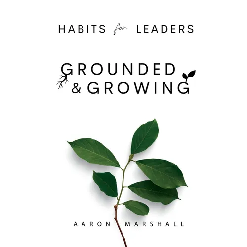 Habits for Leaders, Grounded and Growing: 20 Habits for Executive Leadership - Paperback