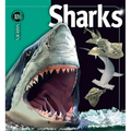 Sharks - Hardcover