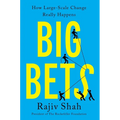 Big Bets: How Large-Scale Change Really Happens - Hardcover