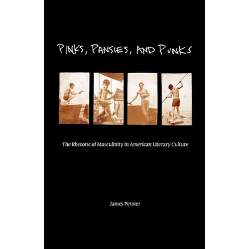Pinks, Pansies, and Punks: The Rhetoric of Masculinity in American Literary Culture - Paperback