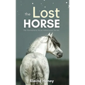The Lost Horse - Book 6 in the Connemara Horse Adventure Series for Kids The Perfect Gift for Children - Hardcover