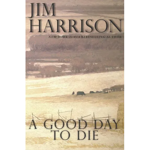 A Good Day to Die - Paperback