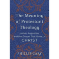 Meaning of Protestant Theology - Paperback