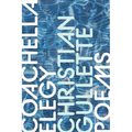Coachella Elegy - Paperback