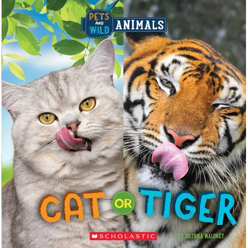 Cat or Tiger (Wild World: Pets and Wild Animals) - Paperback