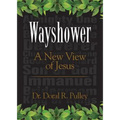 Wayshower: A New View of Jesus - Paperback
