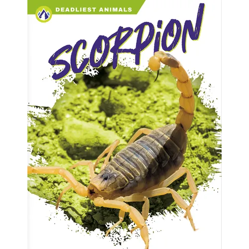 Scorpion - Paperback