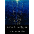 Echo & Lightning - Paperback
