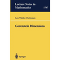 Gorenstein Dimensions - Paperback