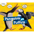 Penguins vs. Puffins - Hardcover