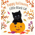 Happy Halloween, Little Black Cat: A Board Book - Board Book