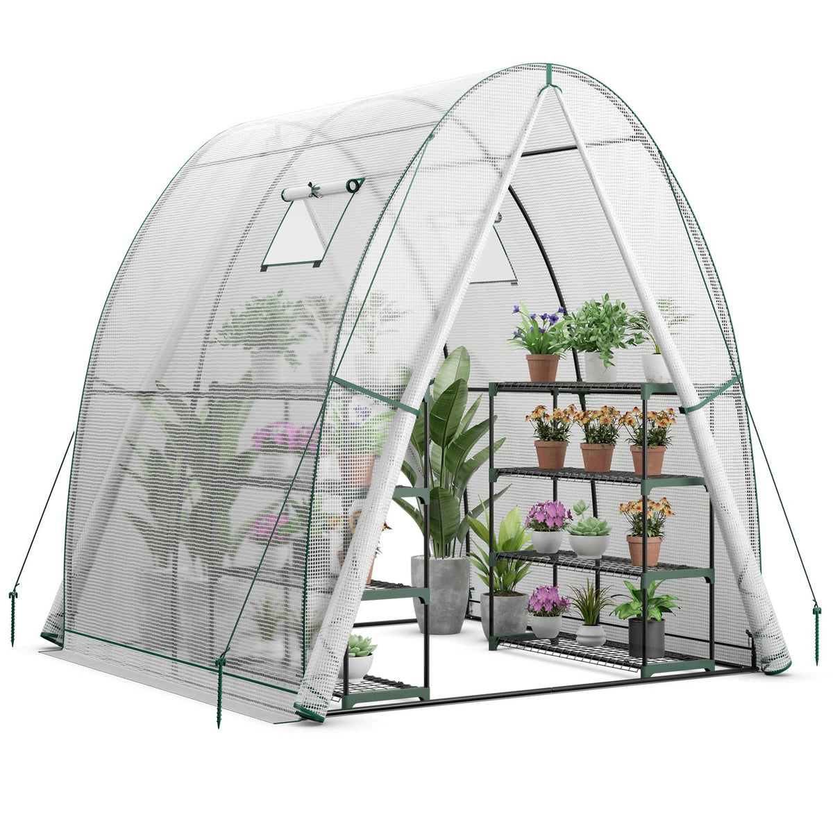 6 x 6 x 6.6 FT Outdoor Wall-in Tunnel Greenhouse