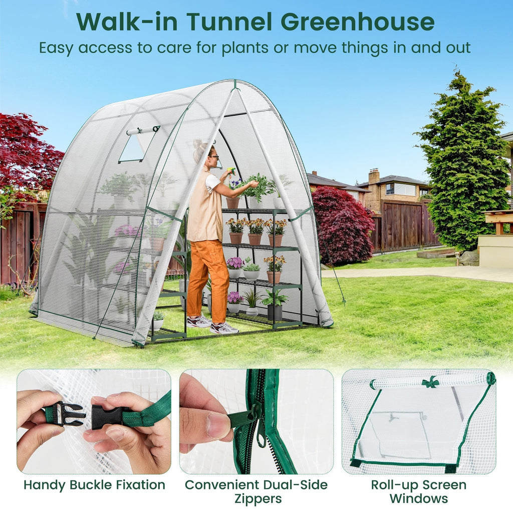6 x 6 x 6.6 FT Outdoor Wall-in Tunnel Greenhouse