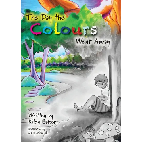 The Day the Colours Went Away - Paperback