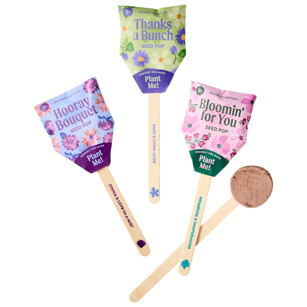 Plantable Wildflower Seed Pop Gift | Modern Sprout